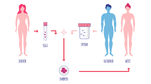 Embryo donation